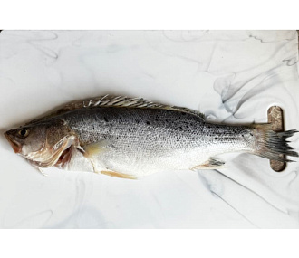Окунь морской японский (Сузуки) потрошеный с головой  450-550гр 