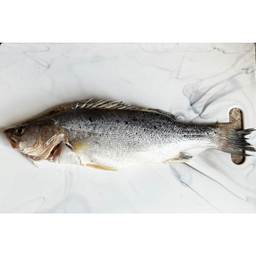 Фото Окунь морской японский (Сузуки) потрошеный с головой  450-550гр 