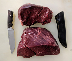 Внутренняя часть бедра пятнистого оленя