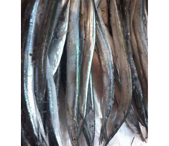 Сарган черноморский свежемороженый (коробка 10кг)