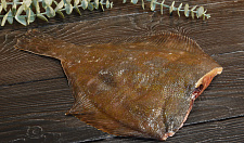 Превью Камбала белобрюхая потрошеная без головы 500-1300гр