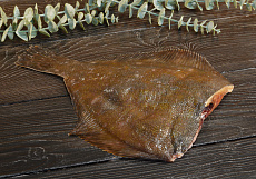 Камбала белобрюхая потрошеная без головы 500-1300гр