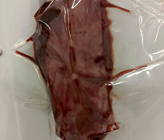 Корейка рыси на кости