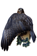 Канюк на медальоне