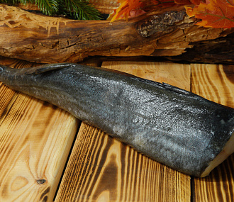 Угольная треска без головы (0,5-1,5кг)