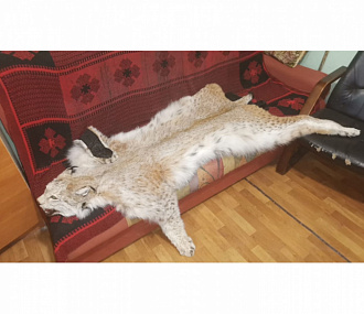 Ковер из рыси 140 см с когтями