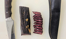 Превью Мясо лося сырокопченое (Ретивое) 