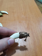 Клык волка с головой из металла