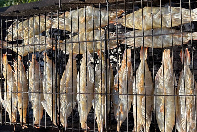 Превью Креветка королевская Ваннамей Бабочка с головой в панцире с разрезом на спинке 20/30 500гр