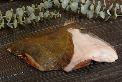 Превью Камбала белобрюхая потрошеная без головы 150-500гр