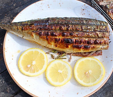 Вкусный рецепт чира на гриле