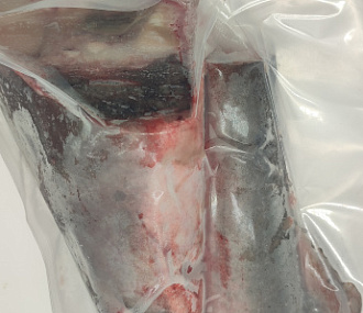 Суповой набор из Акулы Черноморской Катран (хвостовая часть, 1/2 головы)