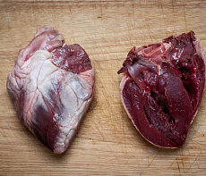 Сердце бобра