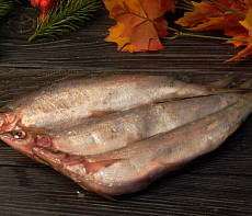 Ряпушка свежемороженая  не потрошёная УЦЕНКА 