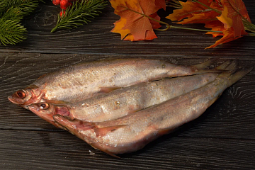 Фото Ряпушка свежемороженая  не потрошёная УЦЕНКА 