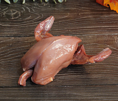 Рябчик без пера