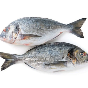 Фото Дорадо с/м (400-600г) коробка 10 кг