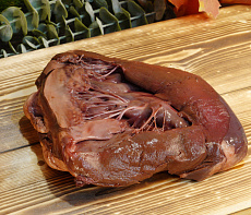 Сердце конское