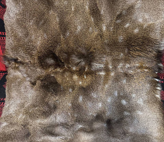 Ковер из шкуры пятнистого оленя