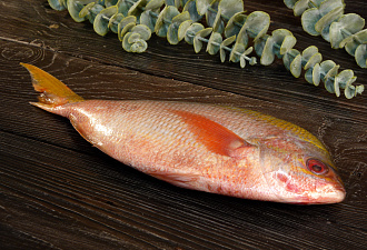 Дорадо дикий желтохвостый (Фузилер)