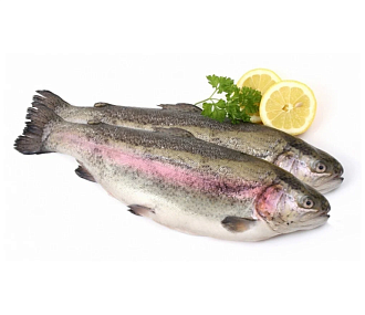Радужая форель штучной заморозки потрошеная с головой (250-350гр)