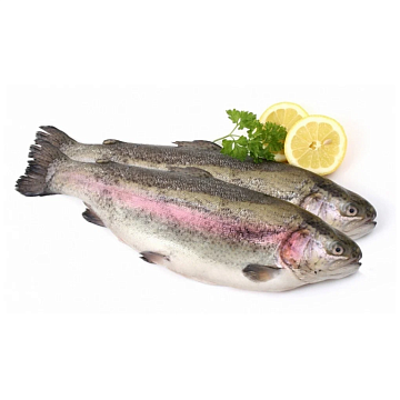 Фото Радужая форель штучной заморозки потрошеная с головой (250-350гр)