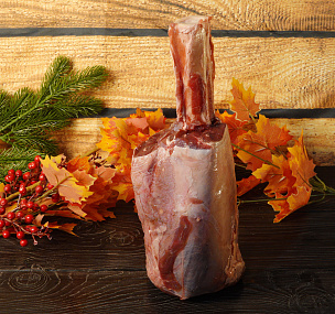 Голяшка лося на кости