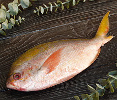 Дорадо дикий желтохвостый (Фузилер)