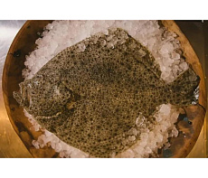 Камбала Калкан свежемороженная 1,5-3 кг