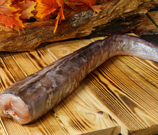 Конгрио свежемороженая 1-1,5кг