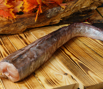 Конгрио свежемороженая 1-1,5кг