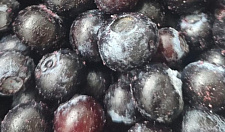 Превью Голубика замороженная садовая в коробке по 10 кг