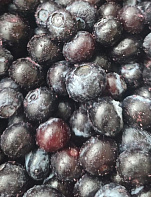 Голубика замороженная садовая в коробке по 10 кг