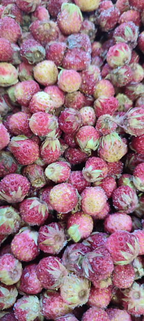 Фото Клубника дикая , луговая свежемороженая