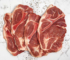 Лопатка рыси на кости