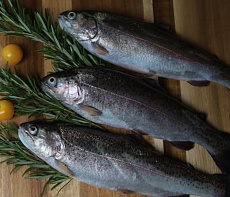 Форель потрошеная замороженная Фермерские продукты 