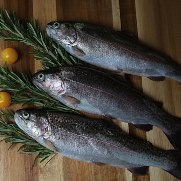 Фото Форель потрошеная замороженная Фермерские продукты 