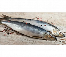 Сельдь Олюторская неразделанная крупная 500+ ( коробка 18кг)