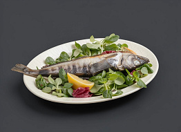 Фаршированная ледяная рыба