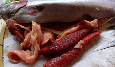 Превью Форель свежемороженая из Карелии