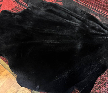Фото Шкура бобра выделанная крашеная черная большая стриженая 