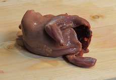 Рябчик без пера