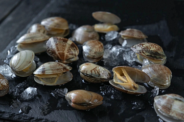 Фото Клемы Вонголе в раковине в/м 41/50