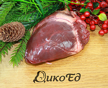 Сердце косули Фото Сердце косули
