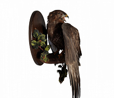 Канюк на медальоне