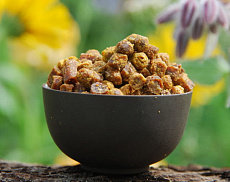 Перга пчелиная очищенная 100гр