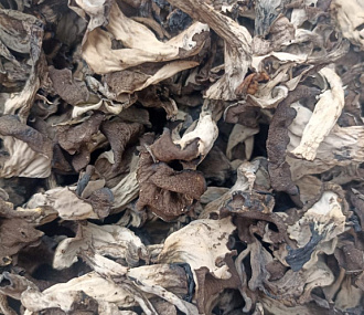 Грибы лисички черные сушеные