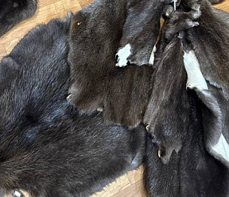 Шкурка бобра выделанная малая