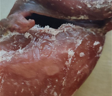 Рябчик без пера УЦЕНКА