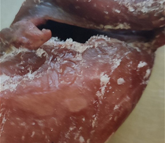 Рябчик без пера УЦЕНКА